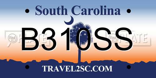 B310SS South Carolina License Plate