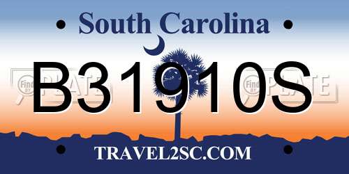 B31910S South Carolina License Plate