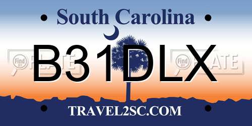 B31DLX South Carolina License Plate