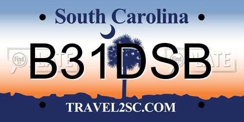 B31DSB South Carolina License Plate