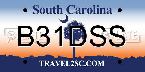 B31DSS South Carolina License Plate