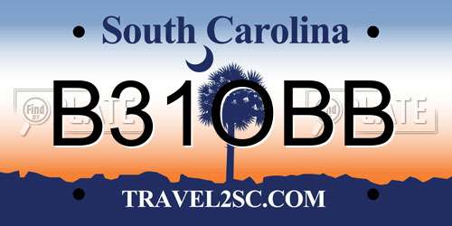 B31OBB South Carolina License Plate
