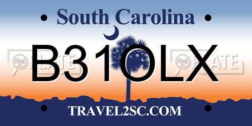 B31OLX South Carolina License Plate