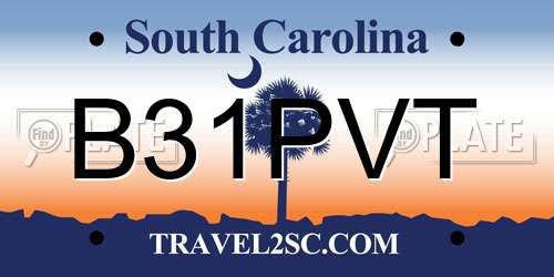 B31PVT South Carolina License Plate