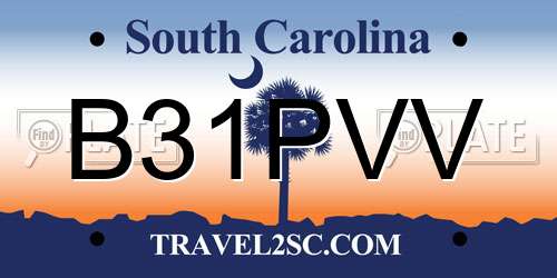 B31PVV South Carolina License Plate