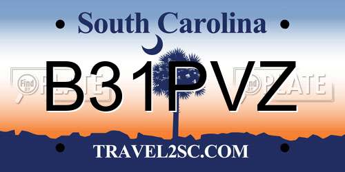 B31PVZ South Carolina License Plate
