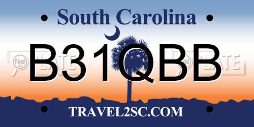 B31QBB South Carolina License Plate