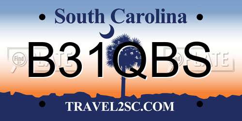 B31QBS South Carolina License Plate