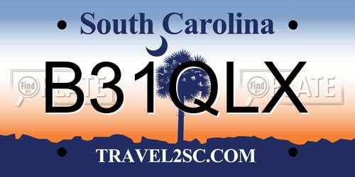 B31QLX South Carolina License Plate