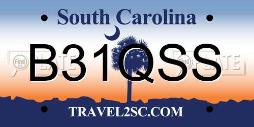 B31QSS South Carolina License Plate