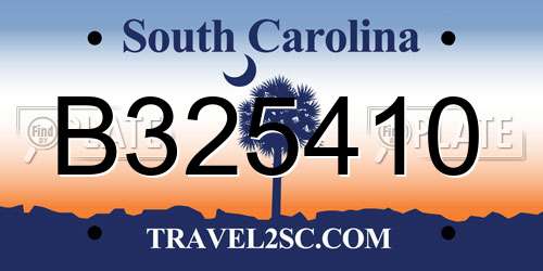 B325410 South Carolina License Plate