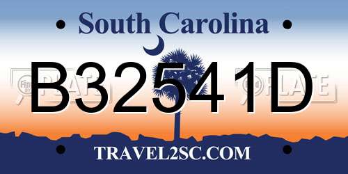 B32541D South Carolina License Plate