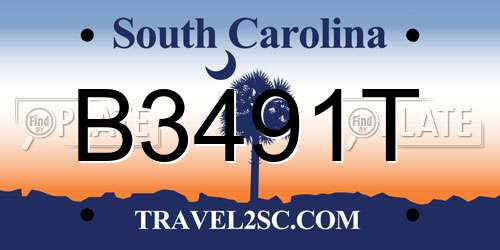 B3491T South Carolina License Plate