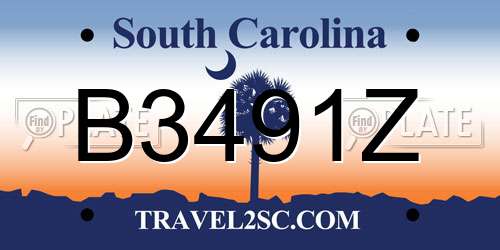 B3491Z South Carolina License Plate