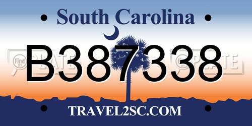 B387338 South Carolina License Plate