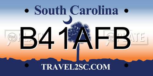 B41AFB South Carolina License Plate