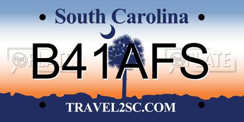 B41AFS South Carolina License Plate