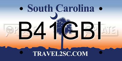 B41GBI South Carolina License Plate