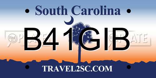 B41GIB South Carolina License Plate