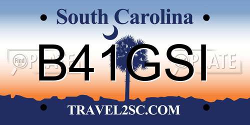 B41GSI South Carolina License Plate