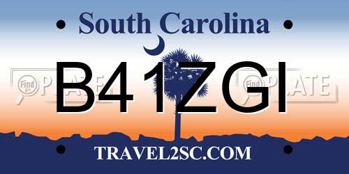 B41ZGI South Carolina License Plate