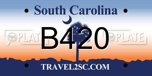 B420 South Carolina License Plate