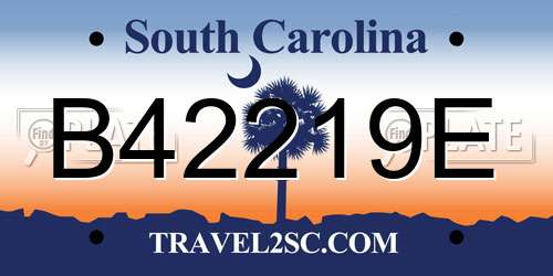 B42219E South Carolina License Plate