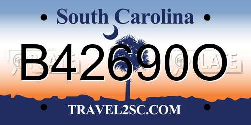 B42690O South Carolina License Plate