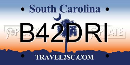 B42DRI South Carolina License Plate