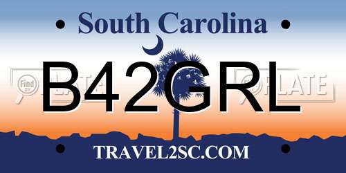 B42GRL South Carolina License Plate