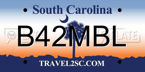 B42MBL South Carolina License Plate