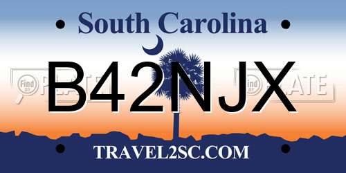 B42NJX South Carolina License Plate