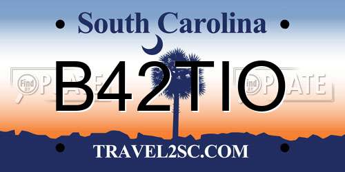 B42TIO South Carolina License Plate