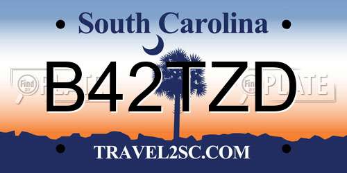B42TZD South Carolina License Plate