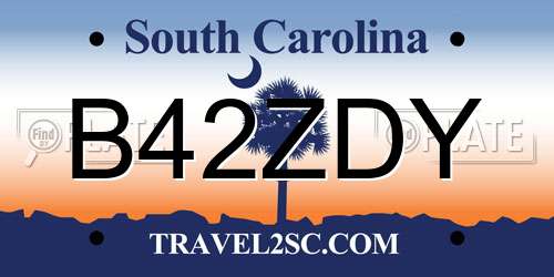 B42ZDY South Carolina License Plate