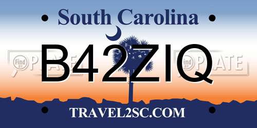 B42ZIQ South Carolina License Plate