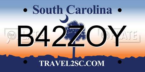 B42ZOY South Carolina License Plate