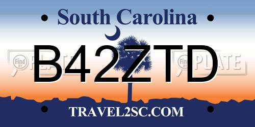 B42ZTD South Carolina License Plate