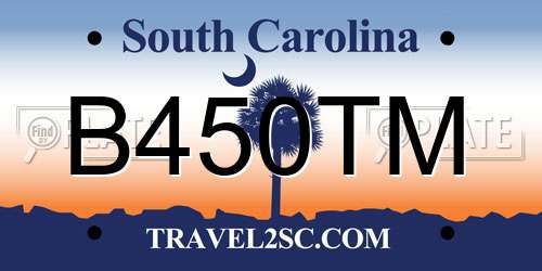 B450TM South Carolina License Plate
