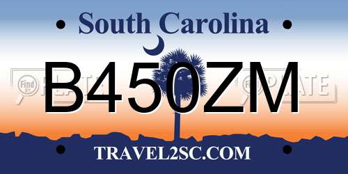 B450ZM South Carolina License Plate