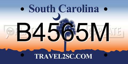 B4565M South Carolina License Plate
