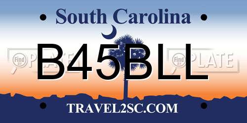 B45BLL South Carolina License Plate