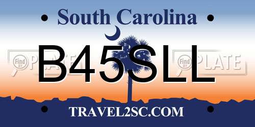 B45SLL South Carolina License Plate