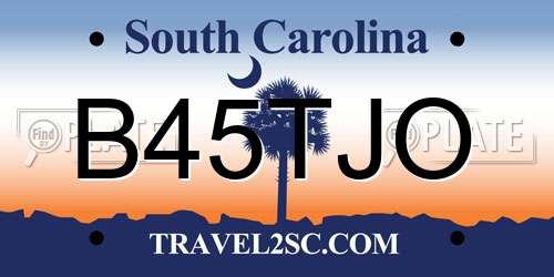 B45TJO South Carolina License Plate