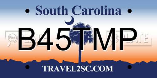 B45TMP South Carolina License Plate