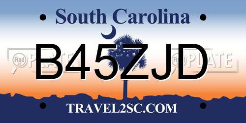 B45ZJD South Carolina License Plate
