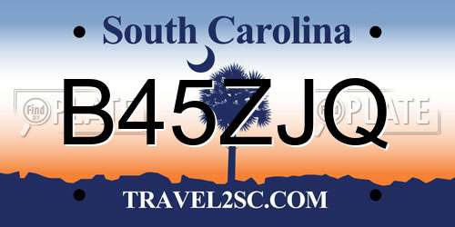 B45ZJQ South Carolina License Plate
