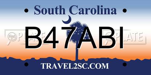 B47ABI South Carolina License Plate