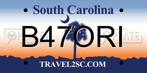 B47ORI South Carolina License Plate
