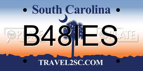 B48IES South Carolina License Plate